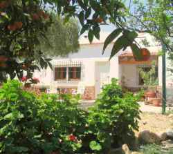 The Orange Grove Apartment